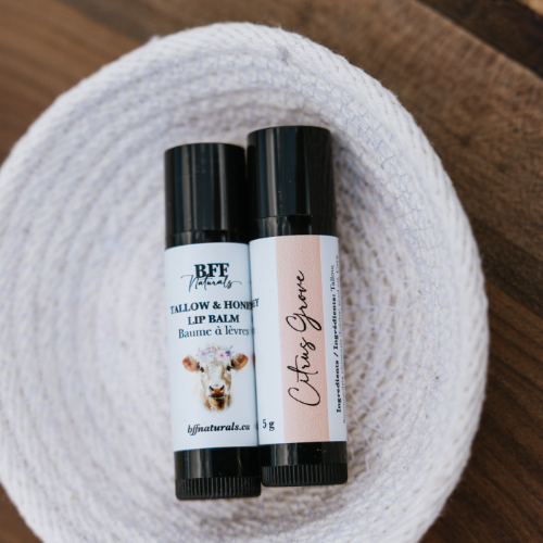 Tallow & Honey Lip Balms