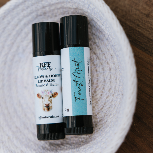 Tallow & Honey Lip Balms