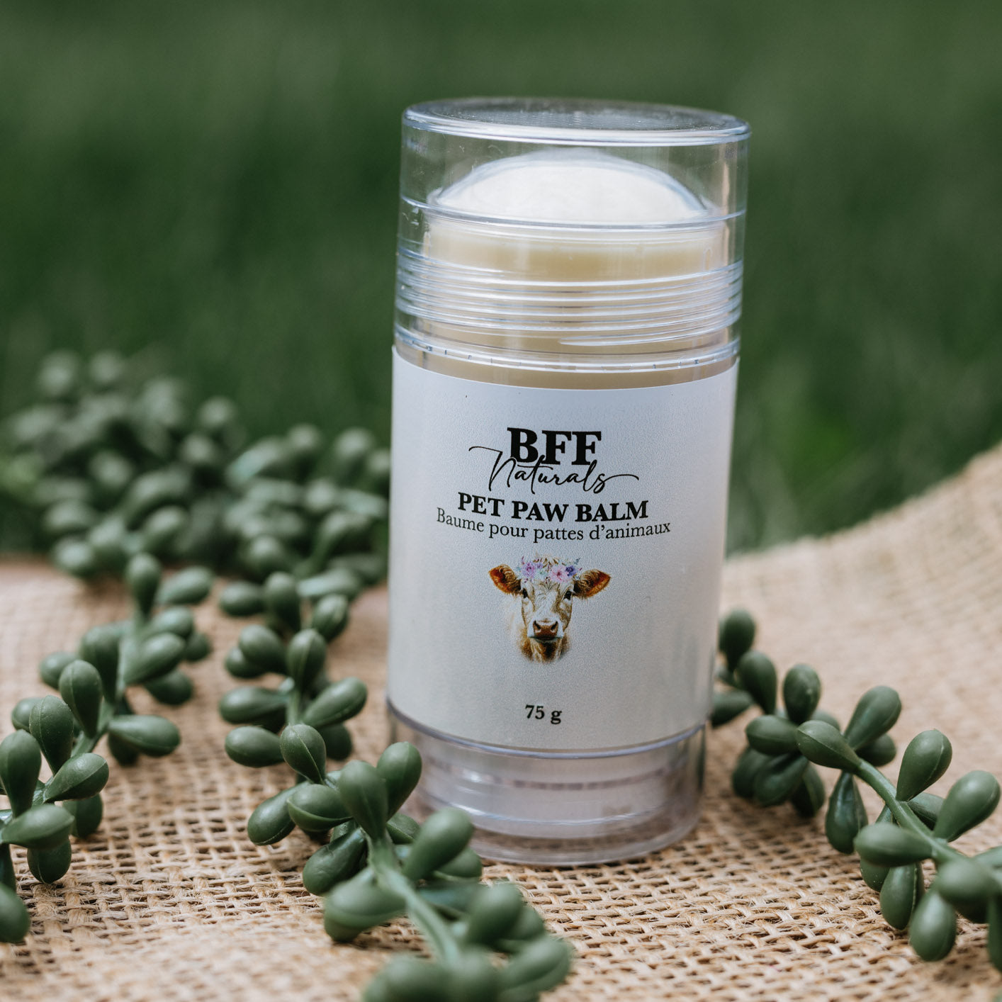 Pet Paw Balm