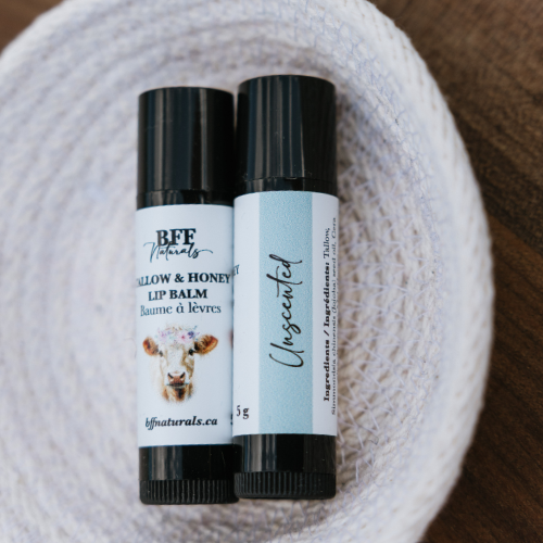 Tallow & Honey Lip Balms