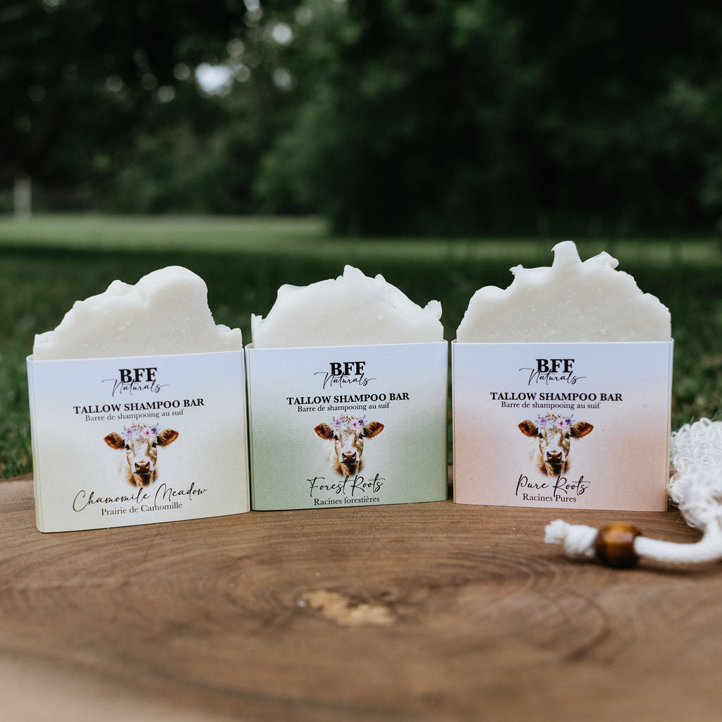 Tallow Shampoo Bars