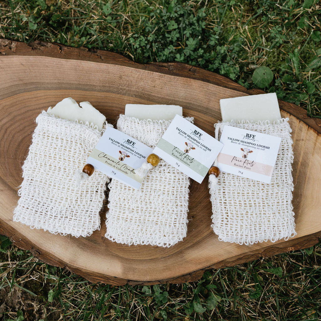 Tallow Shampoo Bars
